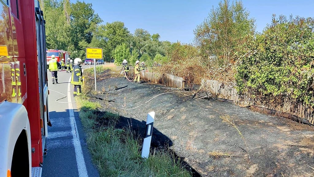 Auf etwa 60 Meter Länge erstreckte sich am Dienstagvormittag der Böschungsbrand am östlichen Osterwiecker Stadtrand. Dabei griffen die Flammen auch auf zwei Kleingärten über.