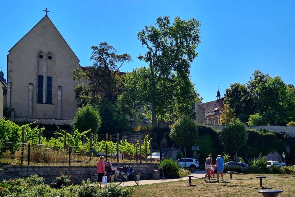 Mit diesem Foto von Enrico Müller beteiligt sich die Stadt Zeitz am Fotowettbewerb „Grüne Quartiere - Städtebauförderung für nachhaltige und lebenswerte Städte“. Das Foto trägt den Titel: Spielen und Verweilen vor dem Franziskanerkloster Zeitz.