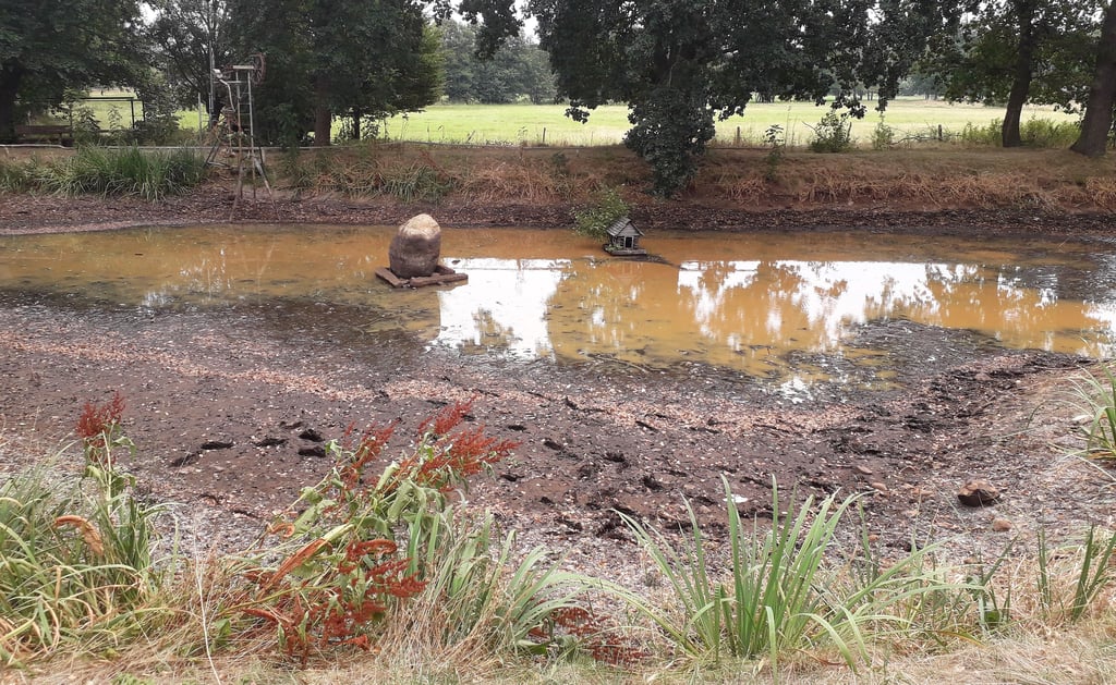 Nur noch eine Pfütze Wasser ist der Schopsdorfer Dorfteich.