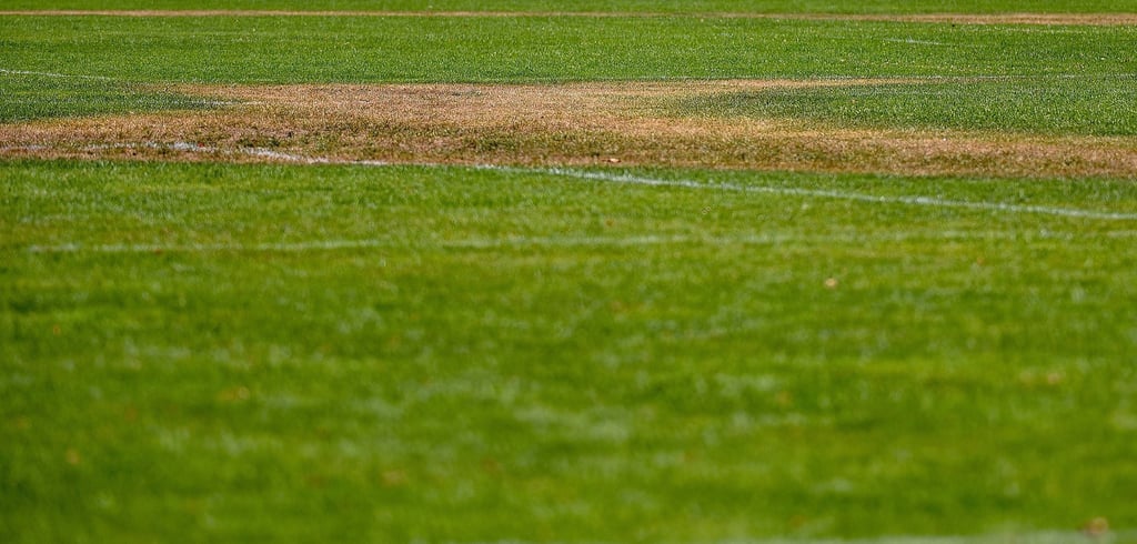 Der Rasen im Dessauer Stadion wurde zerstört (Symbolbild).