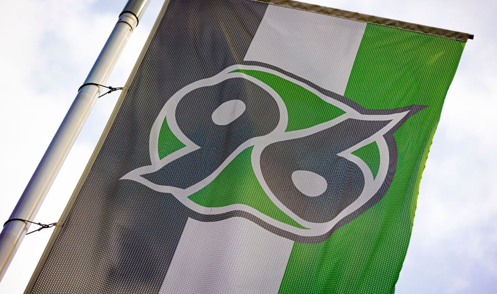 Eine Fahne mit dem Logo von Hannover 96 weht vor der Heinz von Heiden-Arena.
