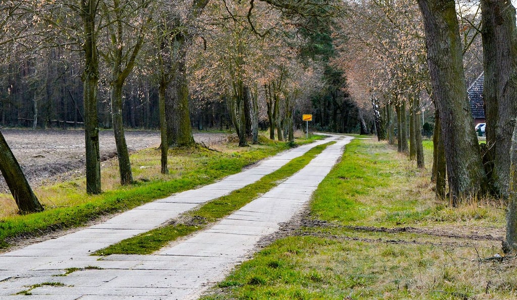 Der Plattenweg zwischen Aulosen und Drösede wurde noch zu DDR-Zeiten erbaut. Und sieht nur von Weitem passabel aus.
