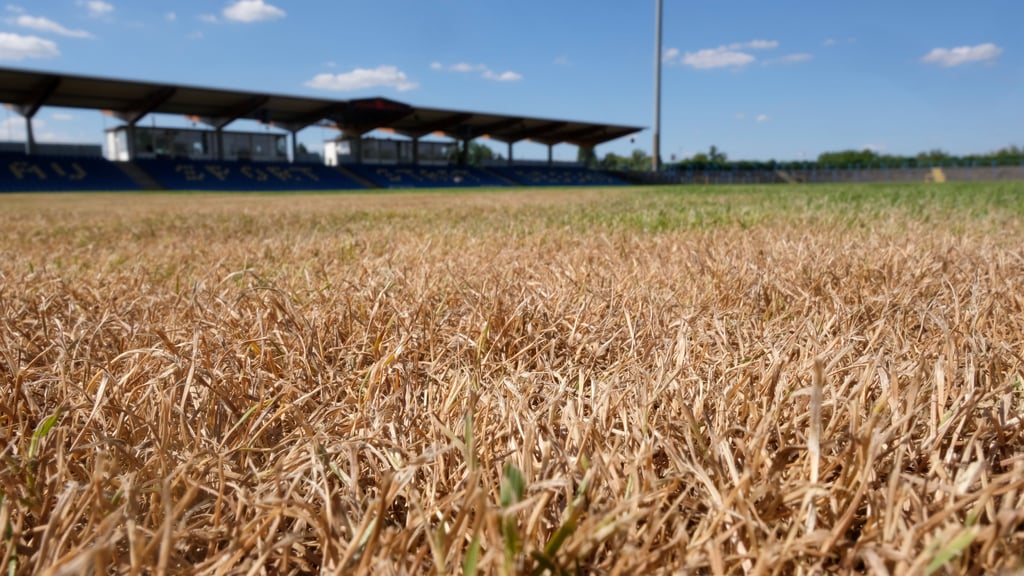 Toter Rasen im Dessauer Paul-Greifzu-Stadion: Hier kann kein DFB-Pokalspiel stattfinden.