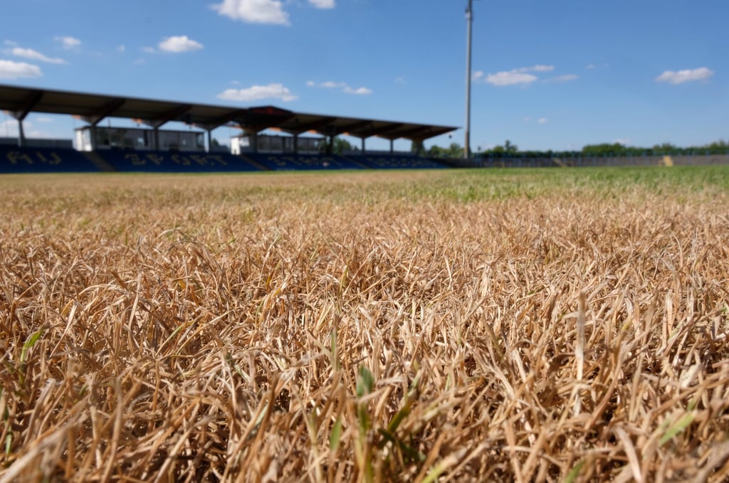Toter Rasen im Dessauer Paul-Greifzu-Stadion: Hier kann kein DFB-Pokalspiel stattfinden.