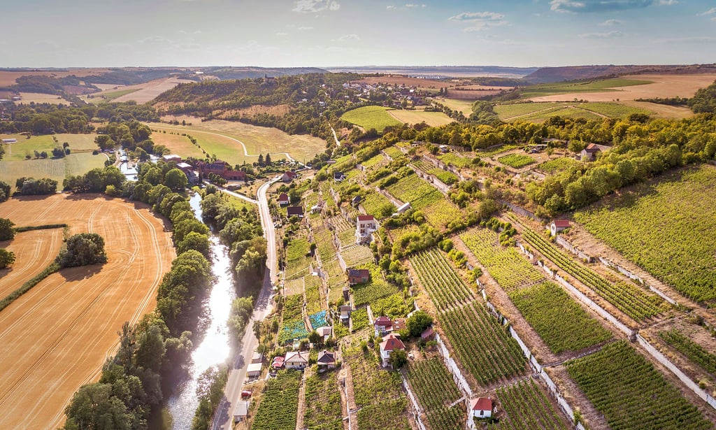 Blick auf den Schweigenberg aus der Vogelperspektive: der wohl bekannteste Terrassenweinberg der Region.