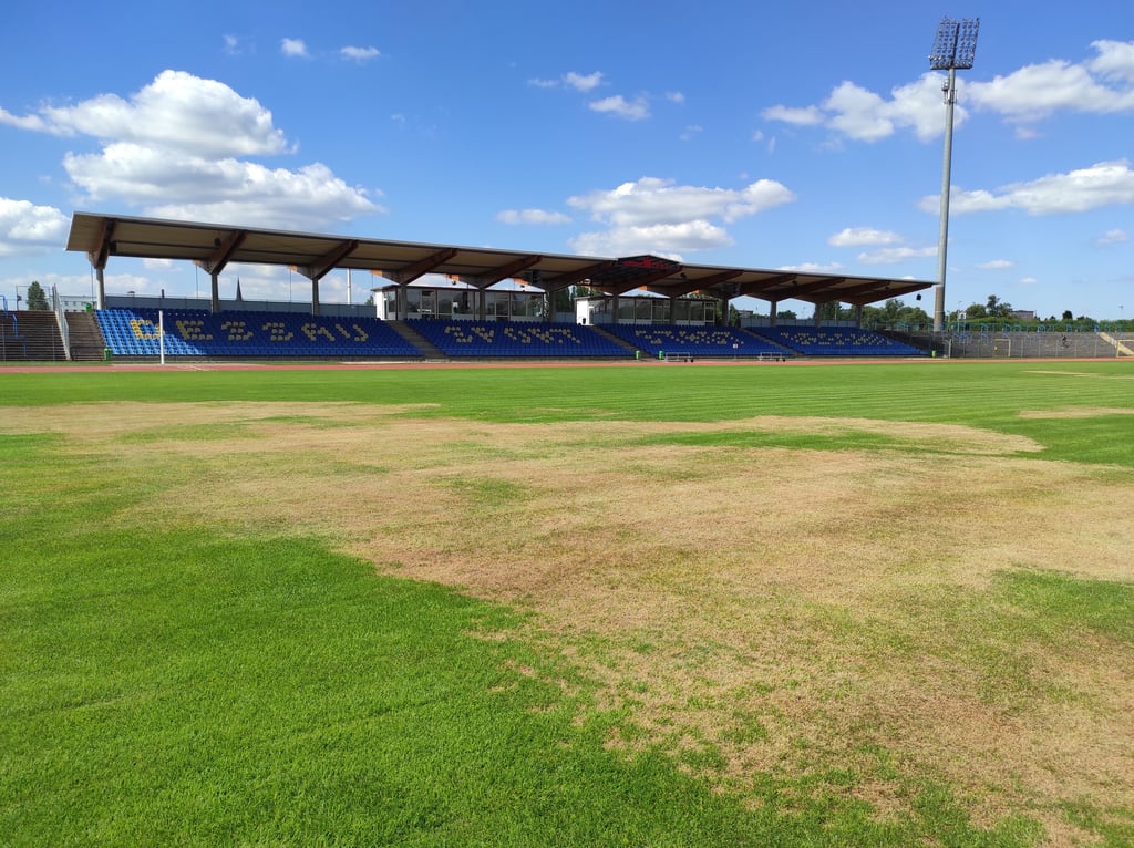 Das Paul-Greifzu-Stadion in Dessau. Der kaputte Rasen ist deutlich zu erkennen.