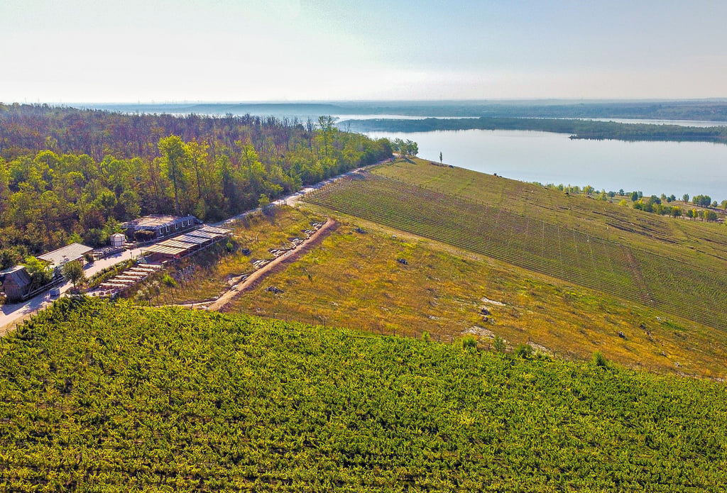 Der Weinberg ist derzeit das einzige touristische Highlight am Lauchstädter Ufer des Geiseltalsees.