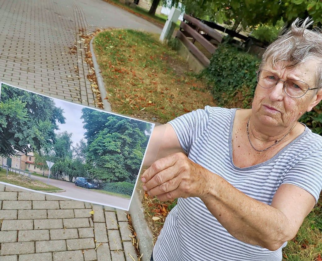 Mildred Walter hat sich das Beweisfoto vom Amt geholt. Die Arnstedterin ist enttäuscht, dass das Ordnungsamt keine Milde walten lässt.  
