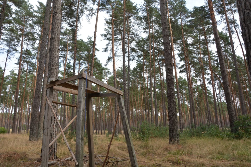Die Ruhe selbst: Bis auf dieses Holzgestell erinnert nichts mehr an die Waldbesetzung im Losser Forst bei Seehausen.