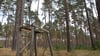 Die Ruhe selbst: Bis auf dieses Holzgestell erinnert nichts mehr an die Waldbesetzung im Losser Forst bei Seehausen.