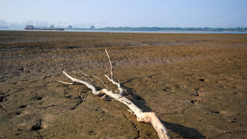 Ein abgestorbener Baum im Wattgebiet des Yangtze-Flusses. Die Dürre in China beeinträchtigt auch die Industrieproduktion.