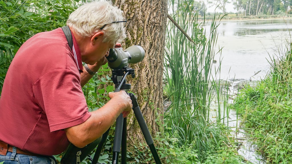 MZSerie Wo die Wildnis wohnt Im Reich der Vögel Wie sich die