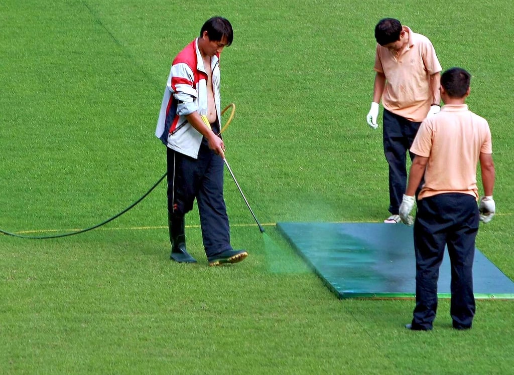 Fachkundig lackieren diese Männer den Rasen in einem südkoreanischen Fußballstadion. Geht bald auch in deutschen Vorgärten.