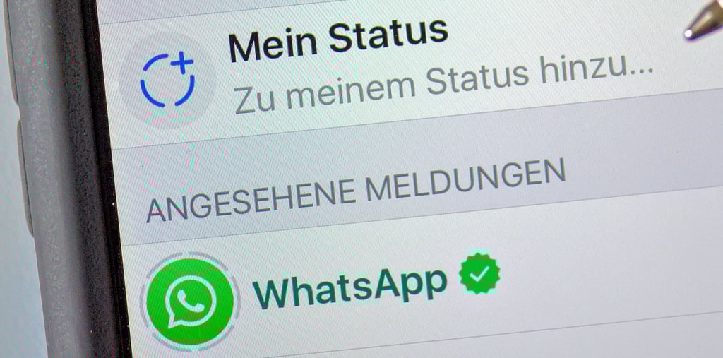 Ist der Messenger-Dienst WhatsApp wirklich sicher? Welche Risiken gibt es oder welche Alternativen? Der Verein Castrum in Oebisfelde geht dieser Frage derzeit nach.