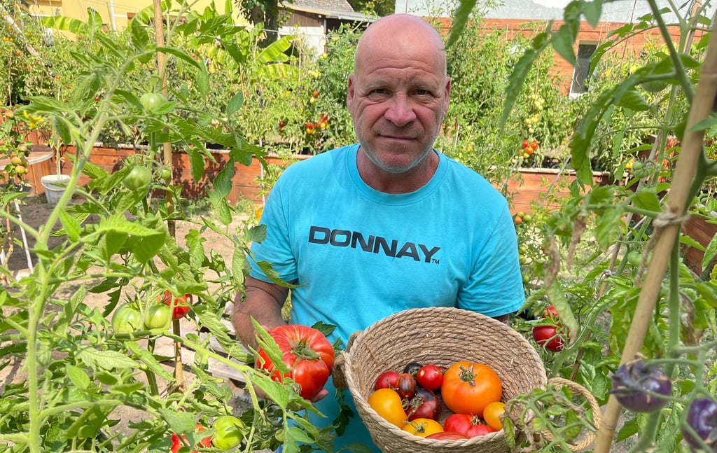 Tomatenzüchter Uwe Meinz aus Schönebeck.
