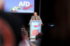 Die Bundesregierung wolle Deutschlands Wirtschaft zerstören, behauptet der im  Amt bestätigte AfD-Landesvorsitzende Martin Reichardt.