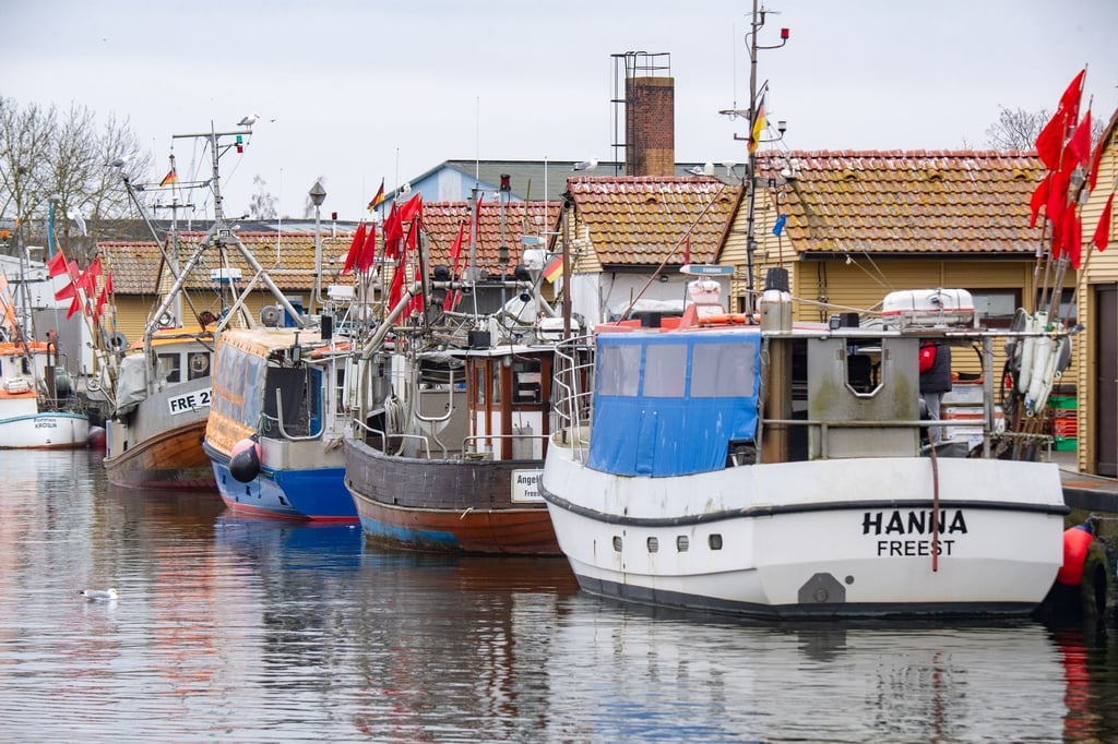 Fischkutter liegen im Fischereihafen Freest.