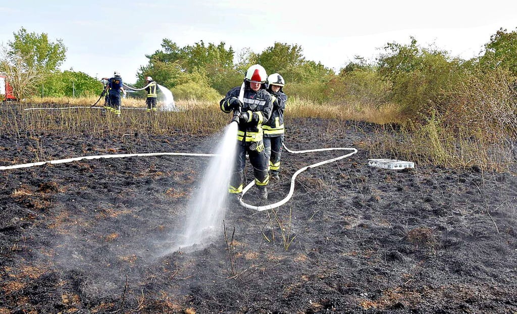 Die Kameraden der Ortswehren haben in der Tonkuhle in Aschersleben einen Flächenbrand gelöscht.