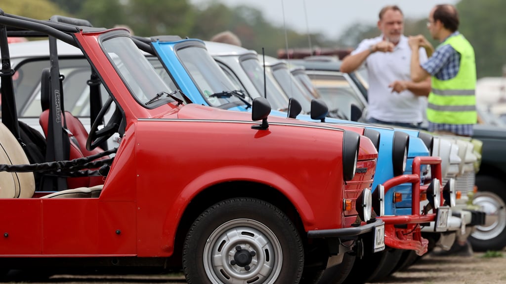 Trabant-Fahrzeuge stehen in Reihe auf dem Ausstellungsgelände der 23. Ostmobil-Meeting (OMMMA) im Elbauenpark. Foto: Peter Gercke/dpa/