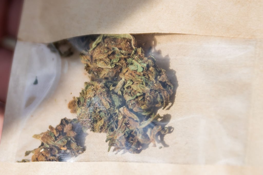 In Merseburg ist ein 50-Jähriger mit verschiedenen Drogen erwischt worden. Welche Substanzen es genau waren, darüber hat die Polizei keine Aussage gemacht. Hier im Bild sind getrocknete Cannabisblüten zu sehen.