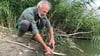 Edgar Appenrodt vom Vorstand des Magdeburger Anglervereins sammelt am Ufer vom Salbker See I in Magdeburg tote Fische ein. Das fünfte Jahr in Folge ist es zu einem Fischsterben in dem See gekommen.