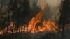 In der Nacht zum Montag ist es erneut bei Blankenburg im Harz zu einem Waldbrand gekommen, der mittlerweile gelöscht ist. Die Warnung an die Bevölkerung, Fenster und Türen wegen starker Rauchentwicklung geschlossen zu halten, wird nunmehr aufgehoben. Symbolbild: