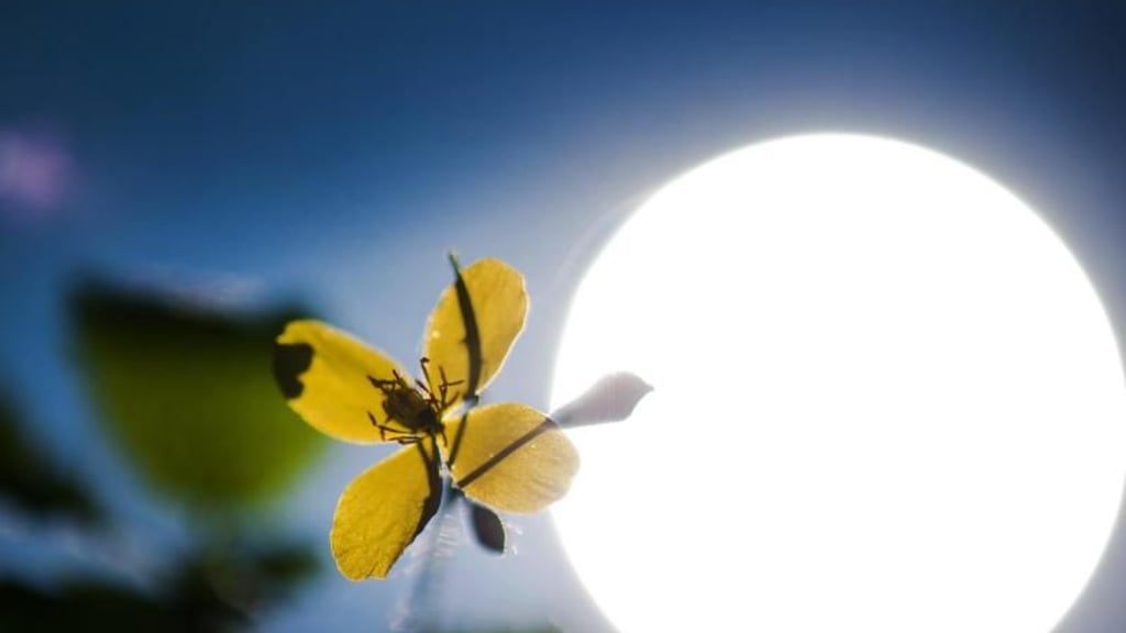 Spätsommer oder herbstliches Wetter? Was sagen die Bauernregeln über den September aus? Foto:&nbsp;