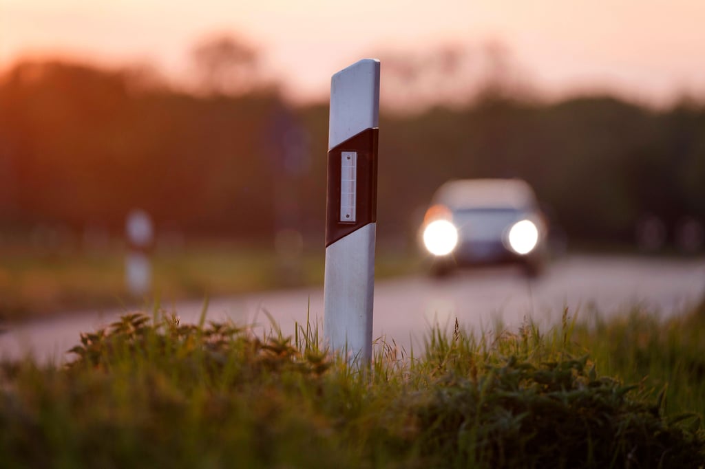 Das Auto ist bei dem Unfall mit einem Leitpfosten kollidiert.