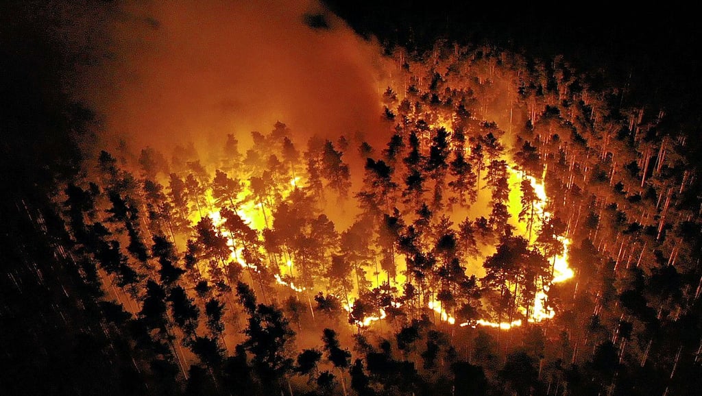 Drohnenaufnahme des Waldbrandes im Heers vom Sonntagabend (28. August). Das Feuer hat sich nahezu kreisförmig am Boden ausgebreitet.