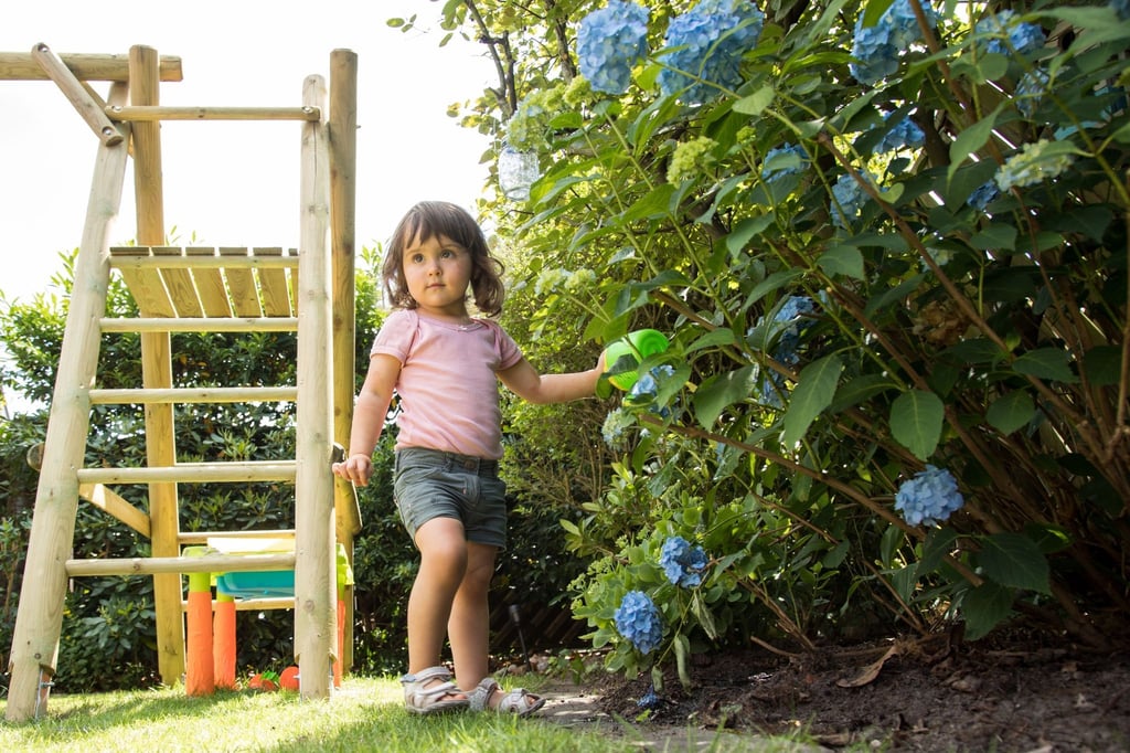 Hat das Kind Beeren, Blüten oder Blätter giftiger Pflanzen in den Mund gesteckt, sollten Eltern rasch handeln und ein Giftinformationszentrum kontaktieren.