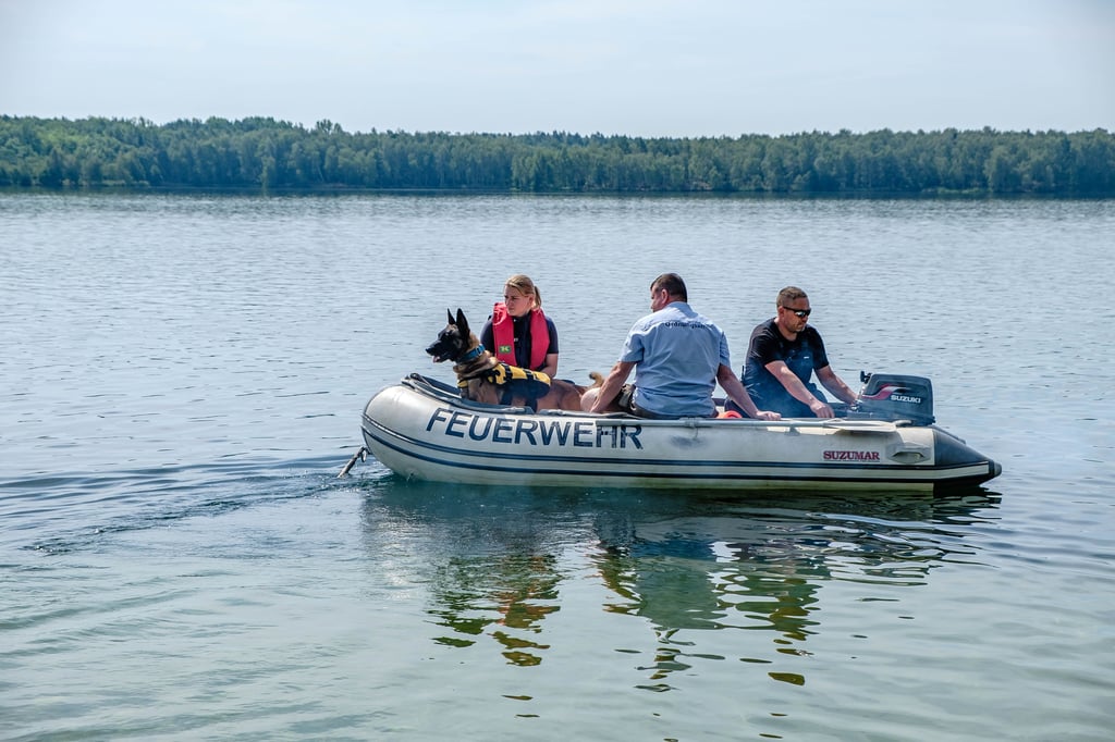 Bergwitzsee: Suche nach vermisstem Stand-Up-Paddler mit Leichenspürhund Dex vom Boot der Feuerwehr aus