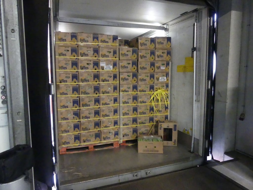 Ermittler des Landeskriminalamts und des Zollfahndungsamts 660 Kilogramm Kokain entdeckt.