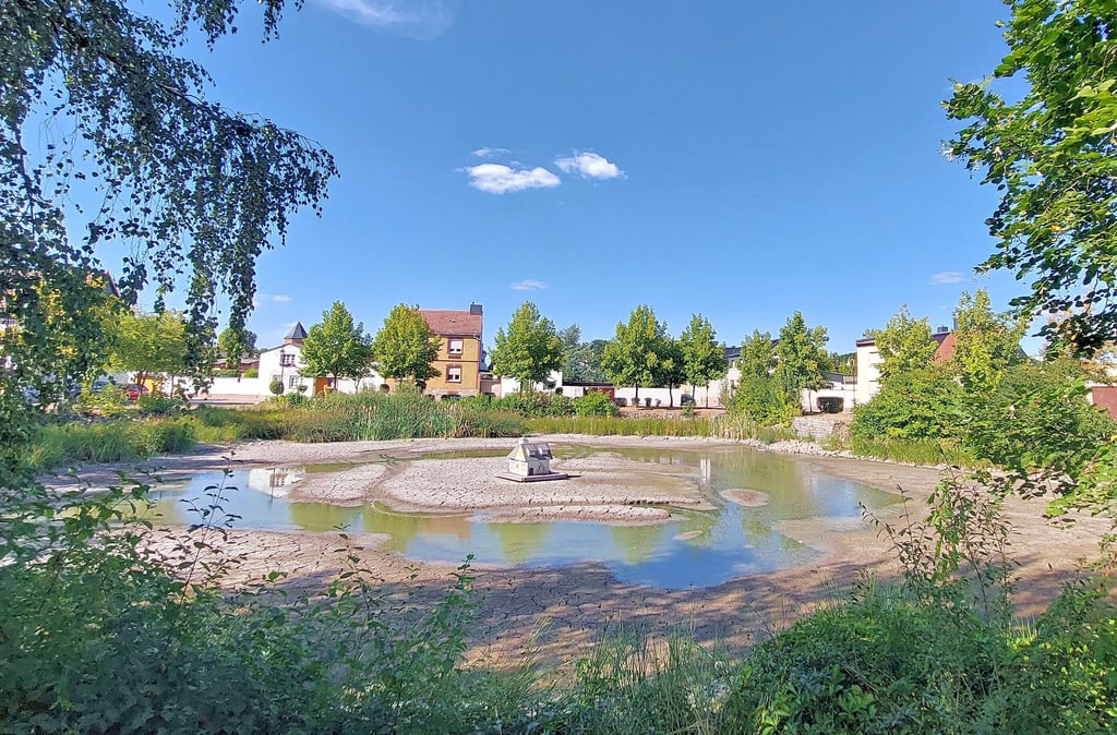 Dürre Probleme am Dorfteich Neundorf Niedrigwasser und starke Gerüche