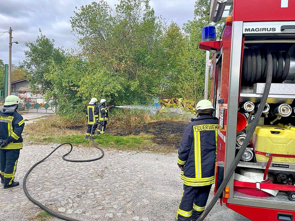 Hinter dem Osterwiecker Baumarkt musste die Osterwiecker Feuerwehr am Mittwochvormittag löschen.