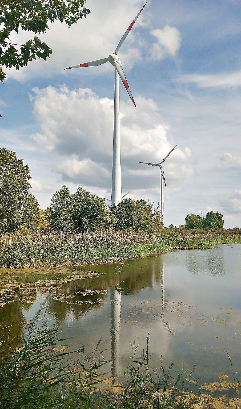 Der Kelterer Teich ist durch den Sand- und Kiesabbau entstanden und heute eine grüne Oase im Gewerbegebiet Nord.