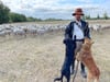 Wanderschäfer Andreas Karwath mit seinen Schafen und Hunden auf den ausgedörrten Flächen im Nordosten von Magdeburg. Wegen der Dürre geht den Tieren allmählich das Futter aus. Karwath sucht händeringend Weideflächen. 
