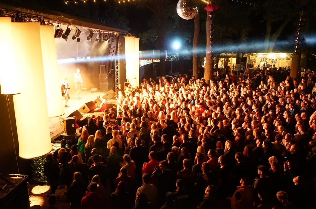 Nach ihrem Aufenthalt auf dem Forest Jump-Festival in Pretzier in Sachsen-Anhalt sind offenbar mehrere Besucher ins Krankenhaus gekommen. Das Festival stand kurz davor, abgebrochen zu werden, erklären jetzt die Veranstalter. Archivfoto: