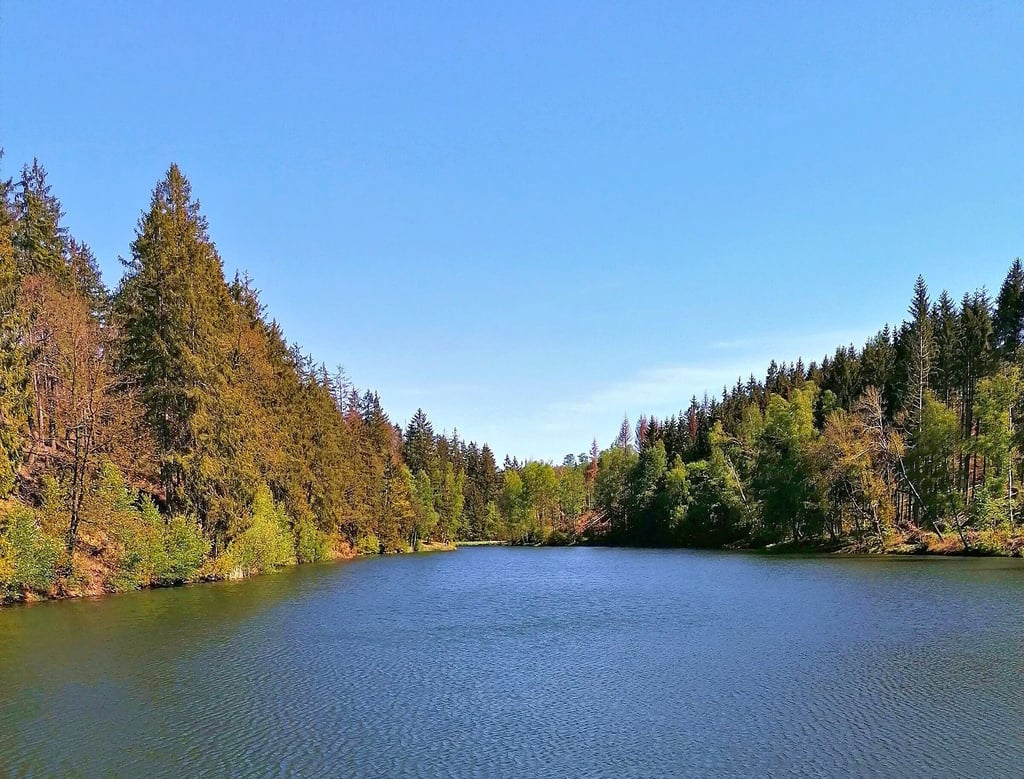 Der Fürstenteich bei Silberhütte ist auch eine Talsperre und gehört zum Unterharzer Wasserregal.