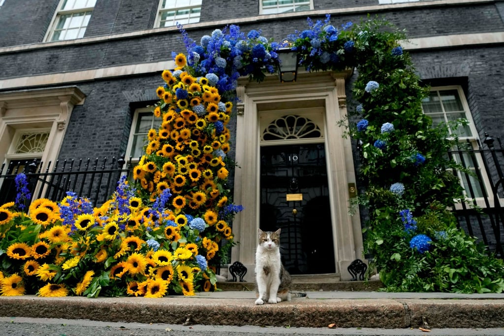 Kater Larry, „Oberster Mäusejäger des britischen Kabinetts“, steht vor seinem Domizil in der Downing Street.