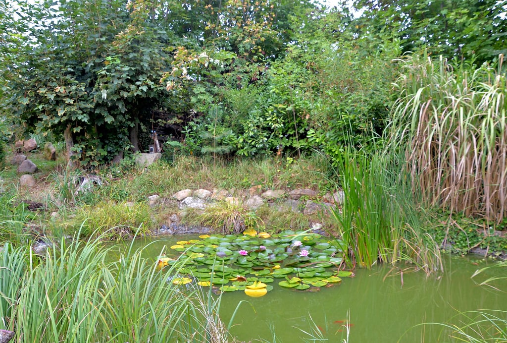 Rund um den Teich mit dem Bambusbewuchs ist eine wahre Oase entstanden.