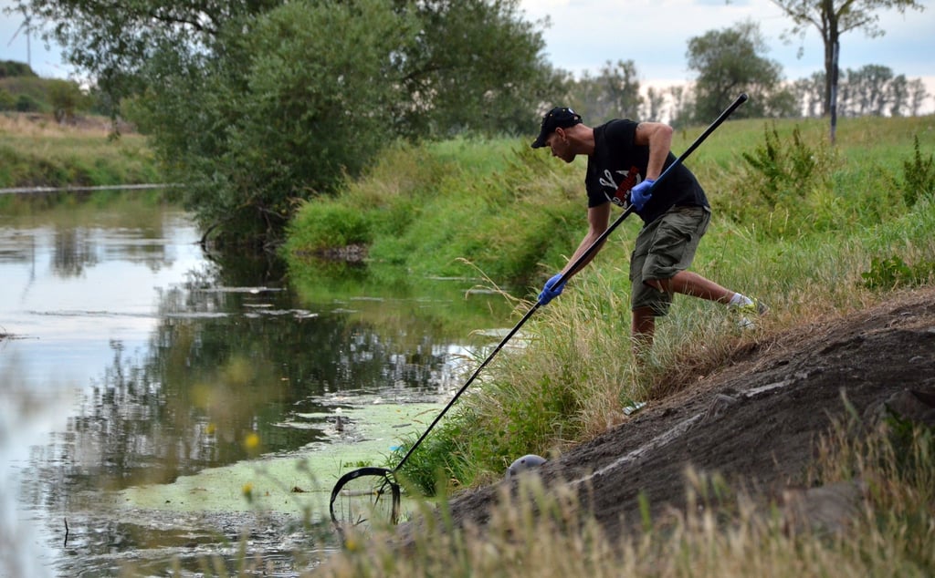 In der Bode gab es 2019 ein großes Fischsterben.