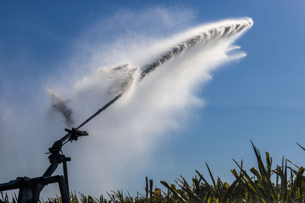 In Sachsen-Anhalt sind die Hürden grundsätzlich hoch, um eine wasserrechtliche Erlaubnis für das Zutagefördern von Grundwasser für das Bewässern von Feldern zu erhalten.
