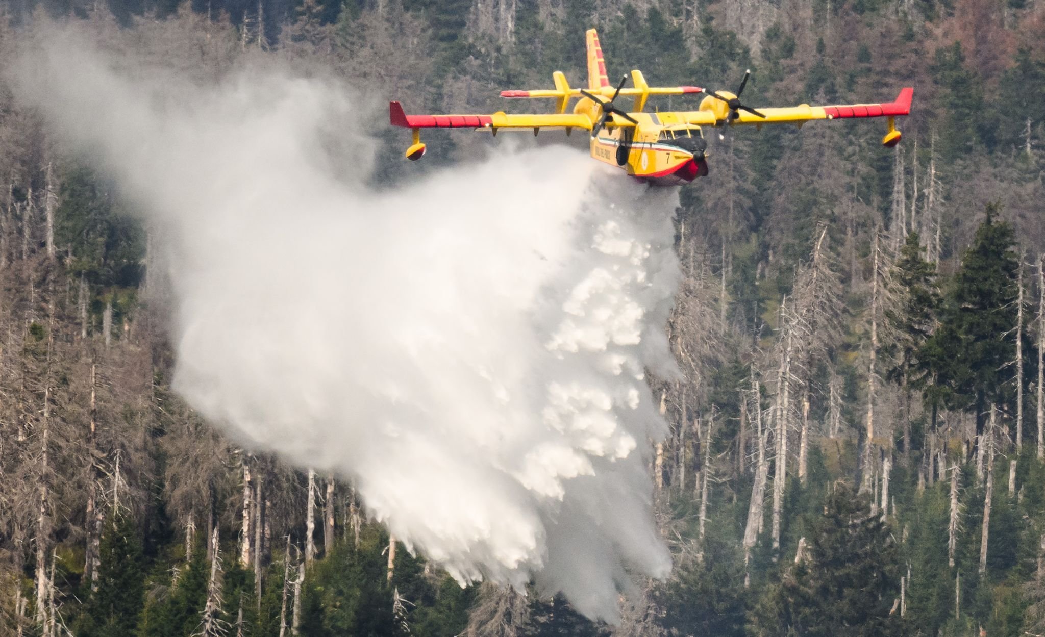 Großbrand Am Brocken: Waldbrand Im Harz: Feuer Hat Sich Weiter ...