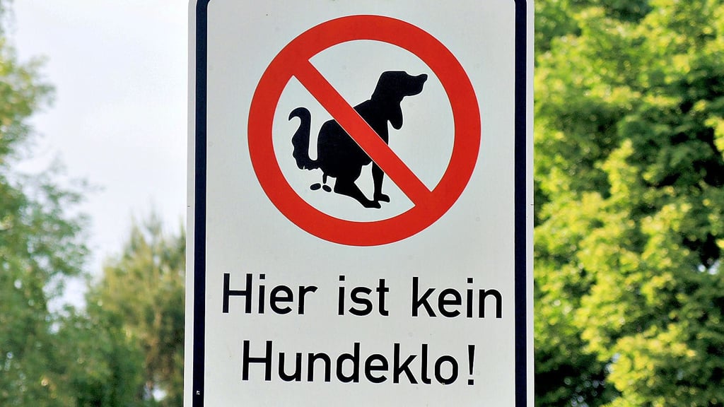 Ärgerlicher Dauerbrenner Hundekot: Jetzt kommen erste Gemeinden den Verursachern mittels DNA-Analyse auf die Spur.