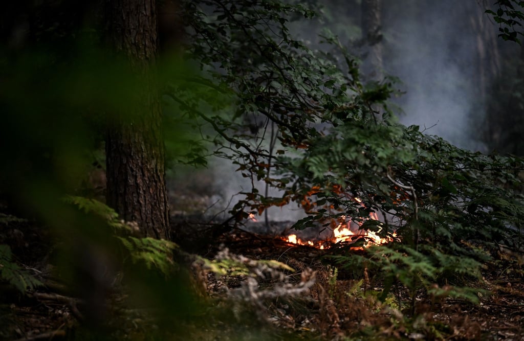Flammen lodern in einem Brandnest im Grunewald in der Nähe des Sprengplatzes.