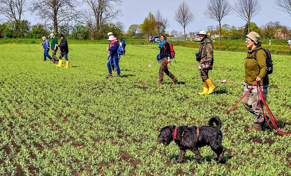 Im Jahr 2021 waren die Helfer und Vertreter des Projektes „Feldhamsterland“ bei Schleibnitz unterwegs.