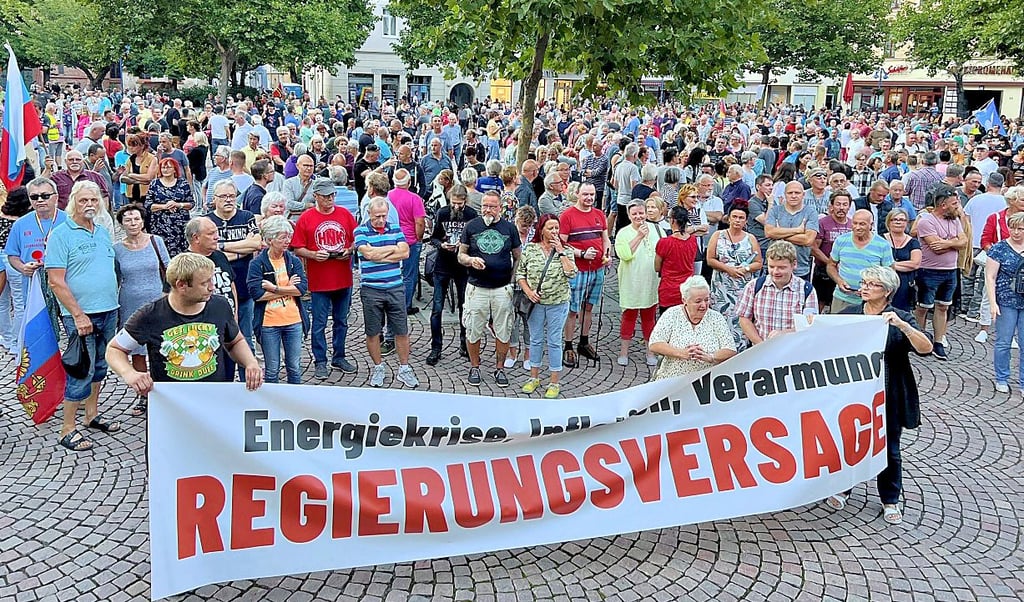Zum Protest in Bitterfeld hatte die AfD aufgerufen.