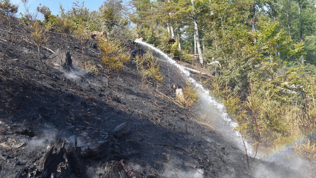 Der Großbrand am Auerberg im Südharz ist gelöscht. Die Löscharbeiten in dem unwegsamen, bergigen Gelände waren sehr schwierig.