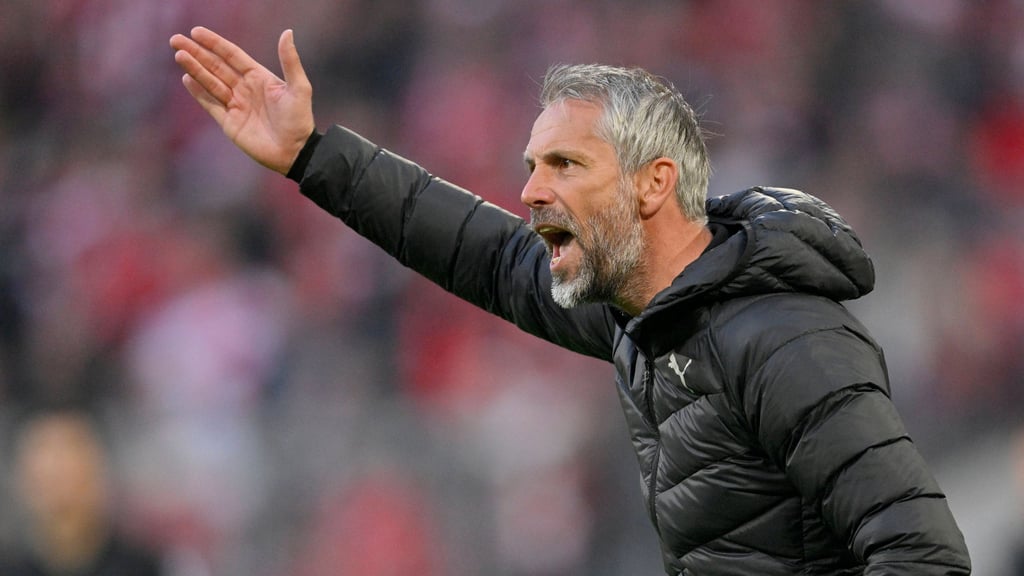 Marco Rose an der Seitenlinie bei Borussia Dortmund.