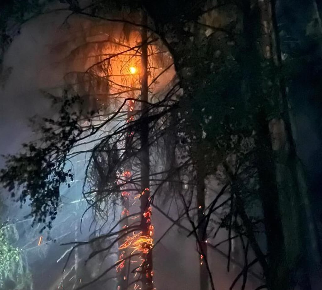 So wütete das Feuer Montagnacht bei Wippra.
